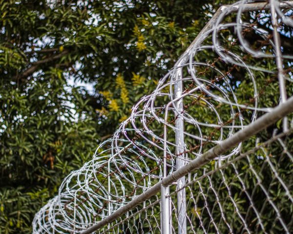 fence-5289430_1920
